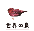 世界の鳥