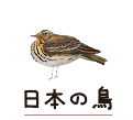 日本の鳥