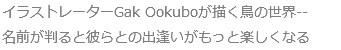 イラストレーターGak Ookuboが描く鳥の世界-- 名前が判ると彼らとの出逢いがもっと楽しくなる